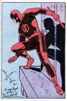 The DareDevil